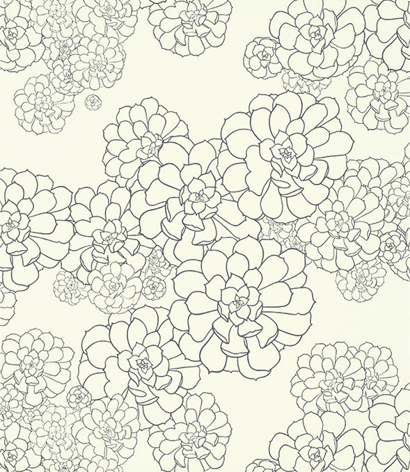 Обои Paint and Paper Library Tresco Aeonium Clean White 0393AECLEAN